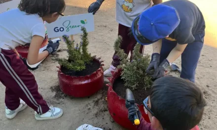 Reinstauró Hutchison Ports primaria indígena en el Valle de Guadalupe
