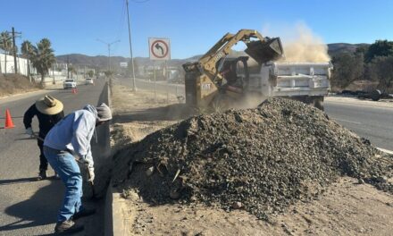 Realizaron acciones de mejoramiento urbano en Ensenada