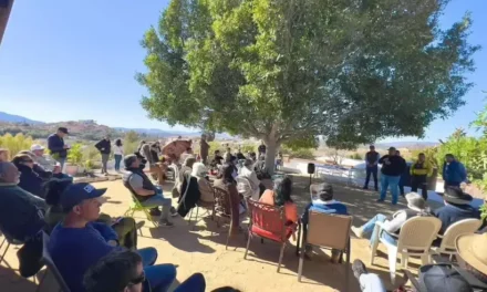 Instalaron mesas de trabajos preventivos en la ruta del vino