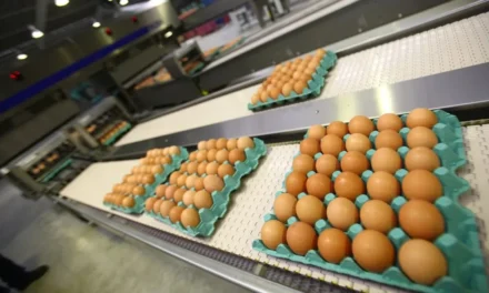 Impacta crisis del huevo en EU a la Industria restaurantera en México