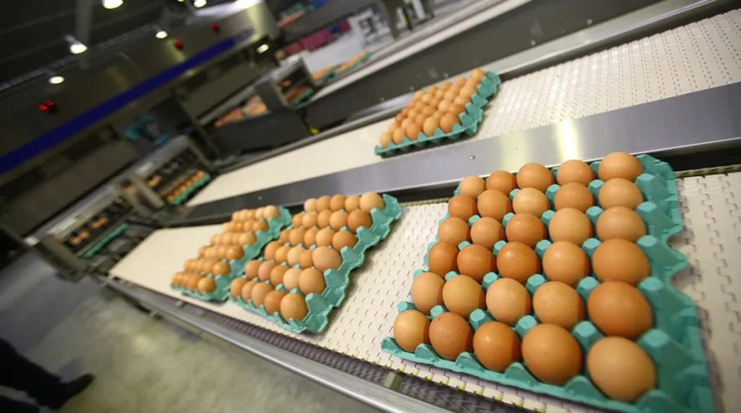 Impacta crisis del huevo en EU a la Industria restaurantera en México