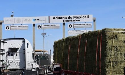 Restablecen sistemas aduanales en Garita Nuevo Mexicali