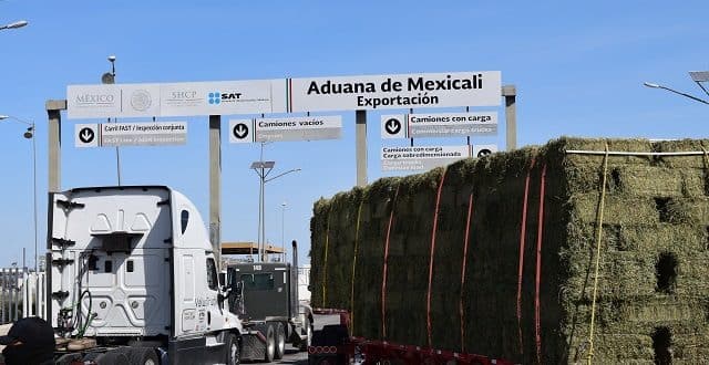 Restablecen sistemas aduanales en Garita Nuevo Mexicali