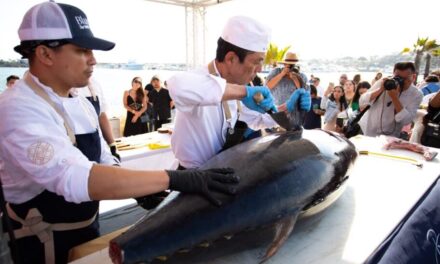 Preparan “Cocina la Baja” con lo mejor de los mares de BC