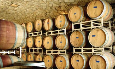 Preocupa a tequileros la posibilidad de nuevos impuestos a exportaciones