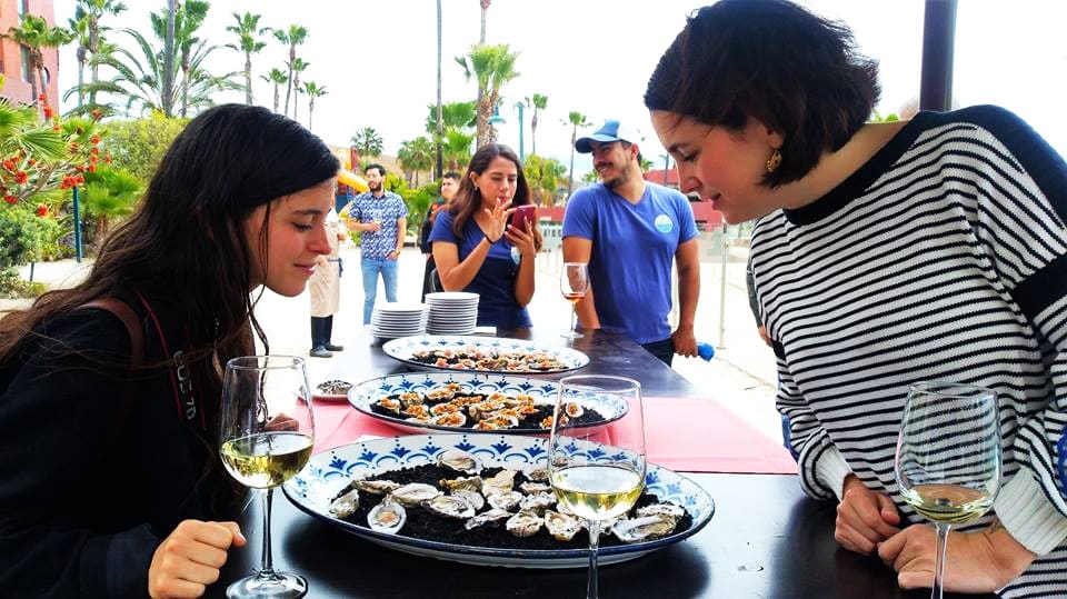 Celebrarán el “XXV Festival de las Conchas y el Vino Nuevo”