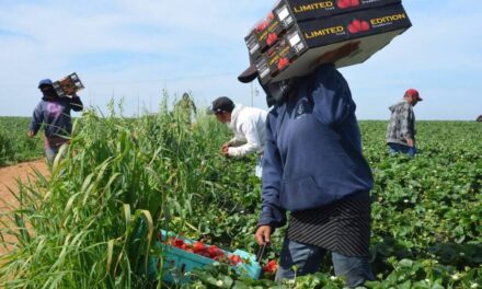 Continúan exportaciones agrícolas de Baja California: CABC