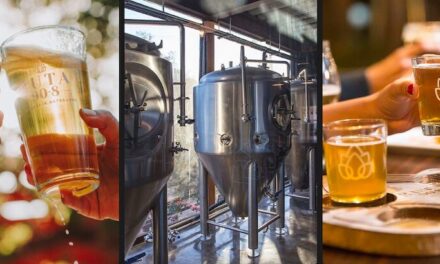 Presentan cerveza artesanal del Valle de Guadalupe