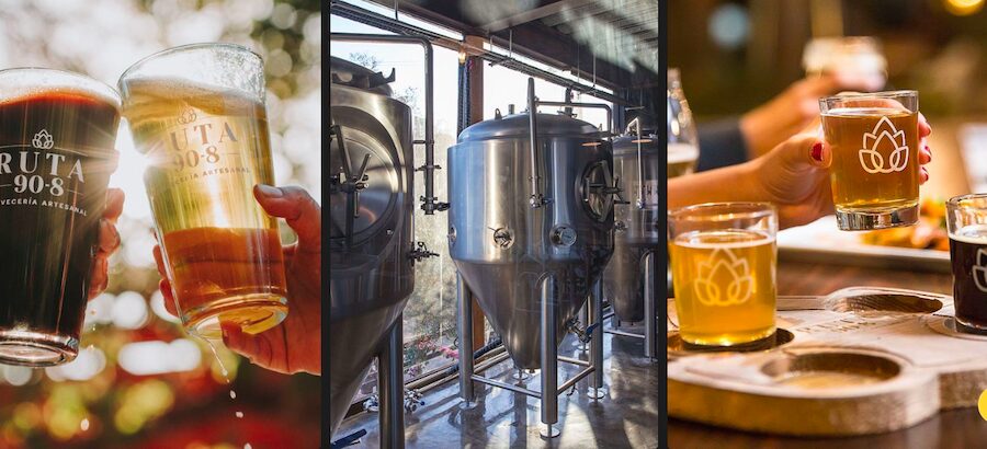 Presentan cerveza artesanal del Valle de Guadalupe