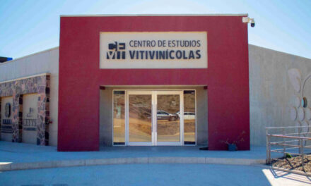 Impulsan la profesionalización del sector vitivinícola en México