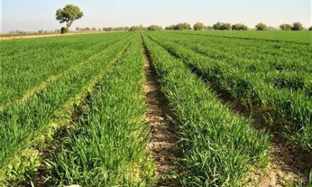 Beneficiará Programa de Energía a más de 72 mil hectáreas agrícolas de BC