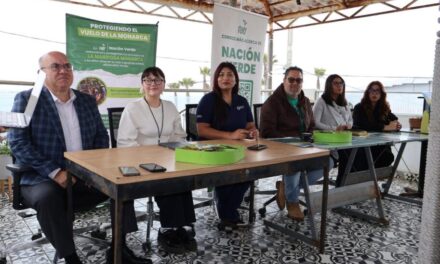 Celebrarán ecologistas el “Terra Fest 2025”