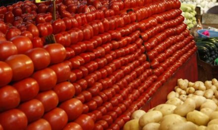 Impondrá EU arancel de 20.91% al jitomate mexicano desde julio