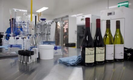 Desarrolla Cevit estudio para descubrir la identidad del vino de BC
