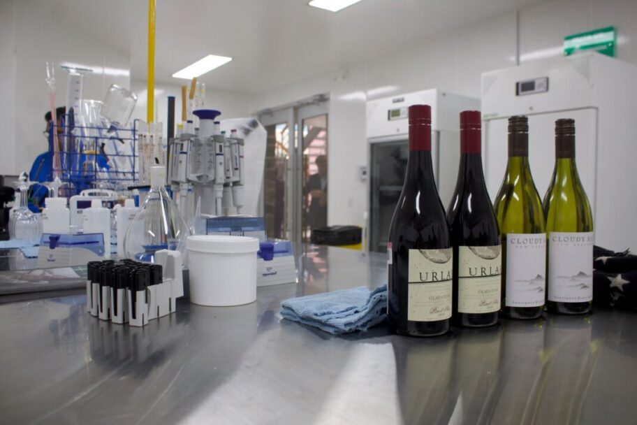 Desarrolla Cevit estudio para descubrir la identidad del vino de BC