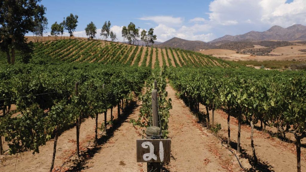 Recibirá Foro Internacional Agroindustria respaldo de Canacintra en BC