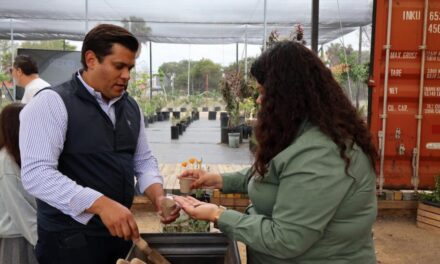 Impulsan Nación Verde y Tijuana Design Week el diseño ecológico en Tijuana
