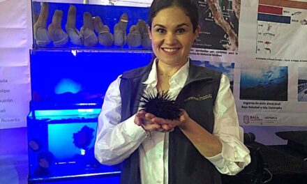 Participará SEPESCA BC en “Expo Mar” 2025