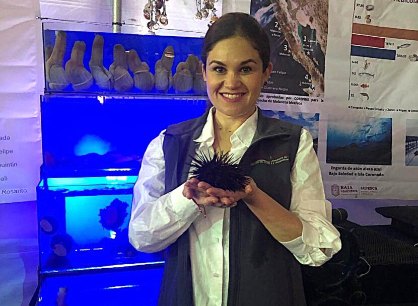 Participará SEPESCA BC en “Expo Mar” 2025