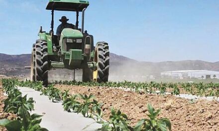 Impulsará FIA el desarrollo del sector agroalimentario en BC