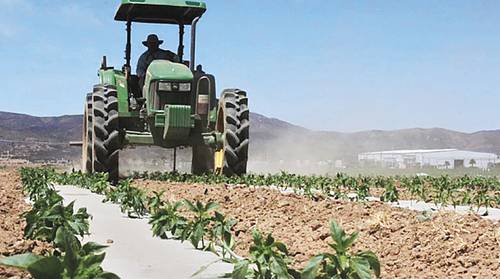 Impulsará FIA el desarrollo del sector agroalimentario en BC