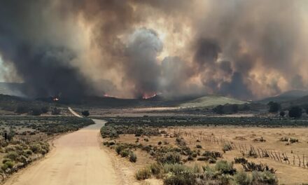 Son afectadas más de 10 mil hectáreas por incendios en Tecate