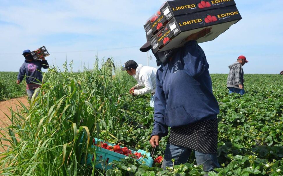 Promoverán Canacintra y BC la agroindustria mexicana este año