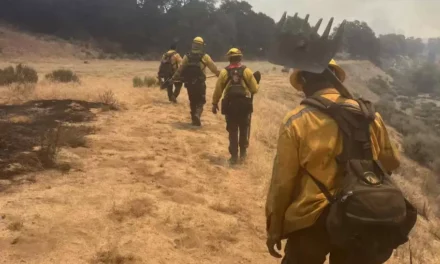 Reportan 75% de control en incendio forestal de Tecate;16 mil ha afectadas