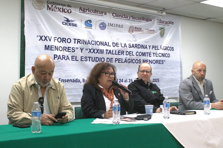 Destaca BC en aprovechamiento e investigación sobre sardina