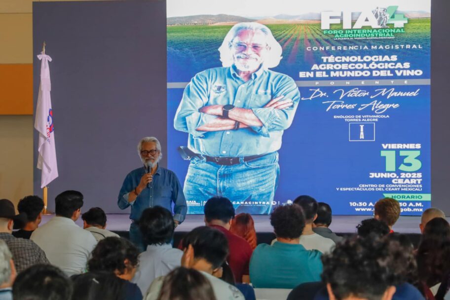 Denuncian productores de vino que política fiscal desprotege a su industria