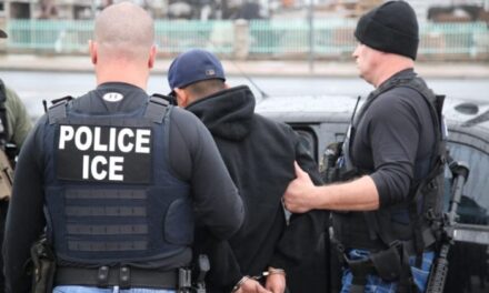 Temen comerciantes por inminente redada de ICE en San Diego