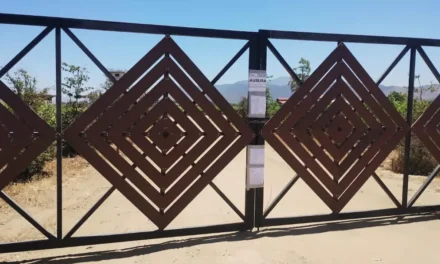 Operan sin estudios de impacto ambiental negocios en Valle de Guadalupe