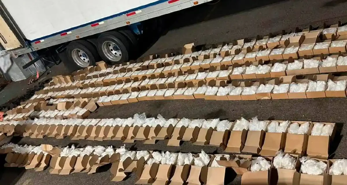 Aseguran más de una tonelada de droga en Baja California