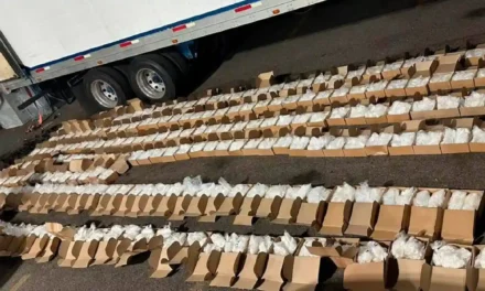 Aseguran más de una tonelada de droga en Baja California