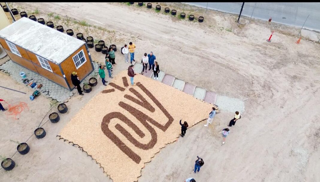 Contará Tijuana con centro para restaurar ecosistemas con plantas nativas