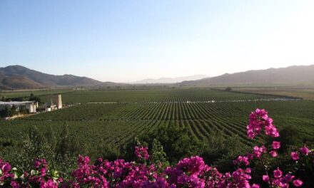 Preocupa venta de terrenos irregulares en el Valle de Guadalupe