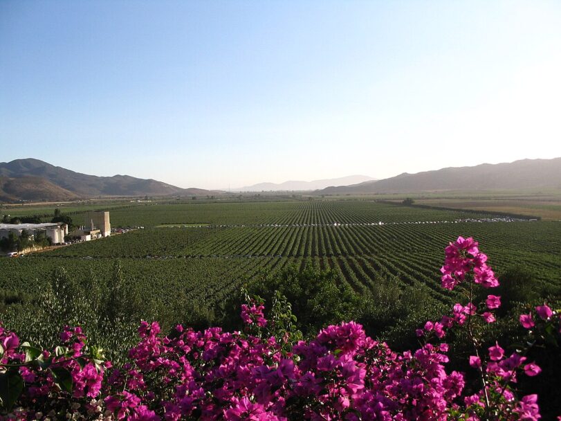 Preocupa venta de terrenos irregulares en el Valle de Guadalupe