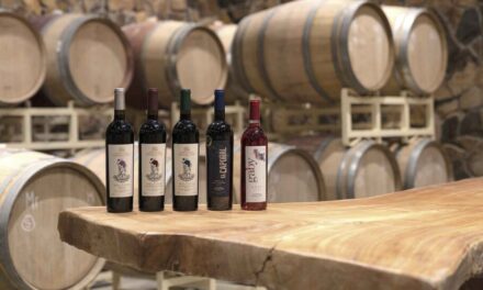 Alberga Valle de Guadalupe más de 240 variedades de vinos