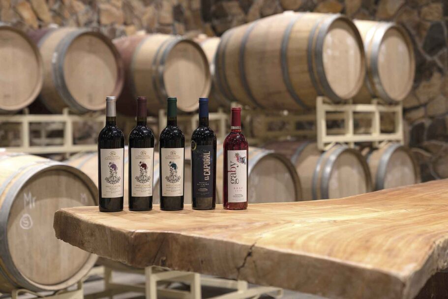 Alberga Valle de Guadalupe más de 240 variedades de vinos
