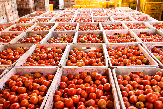 Aplica EU cuota antidumping de 17.09% a importaciones de tomate mexicano