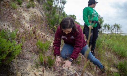 Recomiendan ahorrar energía y reforestar ante calor en BC