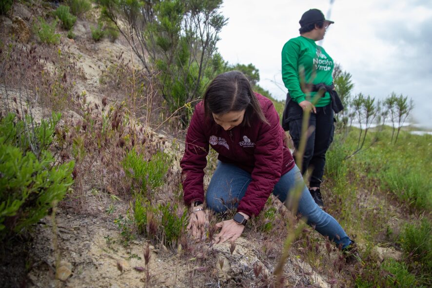 Recomiendan ahorrar energía y reforestar ante calor en BC