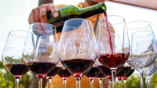 Invitan a celebrar las Fiestas de la Vendimia en BC
