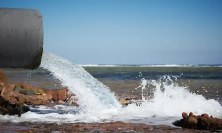 Verificarán contaminación industrial al mar en playas de Tijuana: Profepa