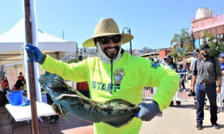 Repartirán premios por medio mdp en Torneo de Pesca deportiva “Dos mares BC”