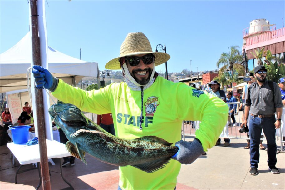 Repartirán premios por medio mdp en Torneo de Pesca deportiva “Dos mares BC”