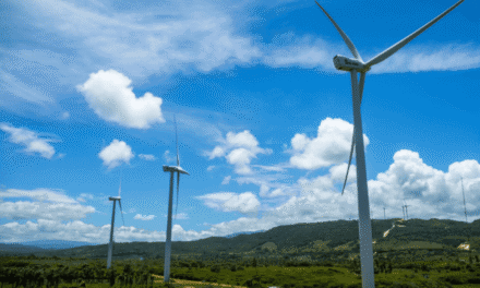 Buscan invertir más de 4,800 mdp anuales para energías limpias