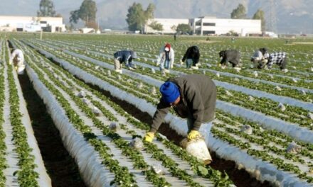 Afecta política migratoria de Trump a sectores económicos clave de EU