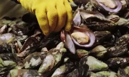 Capacitan a productores pesqueros para obtención de certificados de exportación