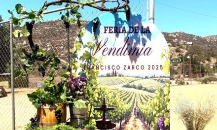 Disfrutaron 9na edición “Feria de la Vendimia 2025”